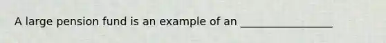 A large pension fund is an example of an _________________