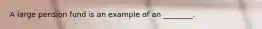 A large pension fund is an example of an ________.