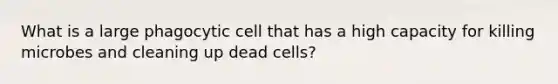 What is a large phagocytic cell that has a high capacity for killing microbes and cleaning up dead cells?