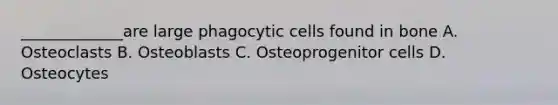 _____________are large phagocytic cells found in bone A. Osteoclasts B. Osteoblasts C. Osteoprogenitor cells D. Osteocytes