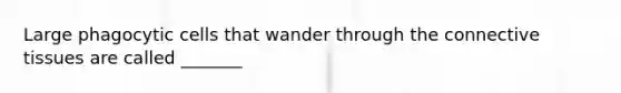 Large phagocytic cells that wander through the connective tissues are called _______