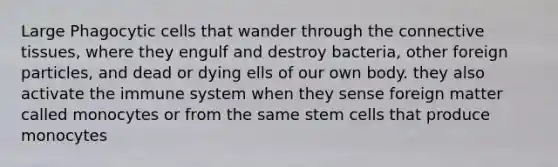 Large Phagocytic cells that wander through the connective tissues, where they engulf and destroy bacteria, other foreign particles, and dead or dying ells of our own body. they also activate the immune system when they sense foreign matter called monocytes or from the same stem cells that produce monocytes