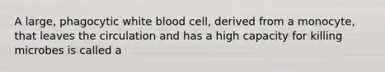 A large, phagocytic white blood cell, derived from a monocyte, that leaves the circulation and has a high capacity for killing microbes is called a