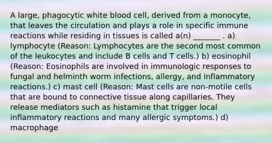 A large, phagocytic white blood cell, derived from a monocyte, that leaves the circulation and plays a role in specific immune reactions while residing in tissues is called a(n) _______ . a) lymphocyte (Reason: Lymphocytes are the second most common of the leukocytes and include B cells and T cells.) b) eosinophil (Reason: Eosinophils are involved in immunologic responses to fungal and helminth worm infections, allergy, and inflammatory reactions.) c) mast cell (Reason: Mast cells are non-motile cells that are bound to <a href='https://www.questionai.com/knowledge/kYDr0DHyc8-connective-tissue' class='anchor-knowledge'>connective tissue</a> along capillaries. They release mediators such as histamine that trigger local inflammatory reactions and many allergic symptoms.) d) macrophage