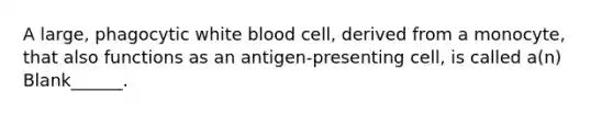 A large, phagocytic white blood cell, derived from a monocyte, that also functions as an antigen-presenting cell, is called a(n) Blank______.