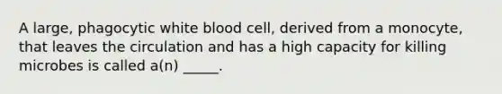 A large, phagocytic white blood cell, derived from a monocyte, that leaves the circulation and has a high capacity for killing microbes is called a(n) _____.