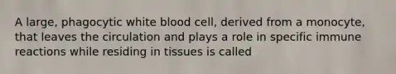 A large, phagocytic white blood cell, derived from a monocyte, that leaves the circulation and plays a role in specific immune reactions while residing in tissues is called