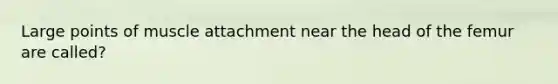 Large points of muscle attachment near the head of the femur are called?