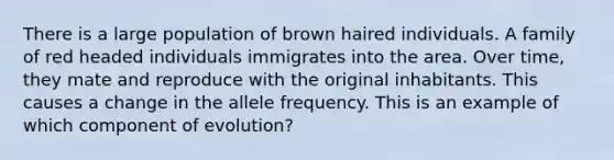 There is a large population of brown haired individuals. A family of red headed individuals immigrates into the area. Over time, they mate and reproduce with the original inhabitants. This causes a change in the allele frequency. This is an example of which component of evolution?