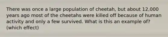 There was once a large population of cheetah, but about 12,000 years ago most of the cheetahs were killed off because of human activity and only a few survived. What is this an example of? (which effect)