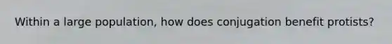 Within a large population, how does conjugation benefit protists?