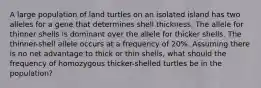 A large population of land turtles on an isolated island has two alleles for a gene that determines shell thickness. The allele for thinner shells is dominant over the allele for thicker shells. The thinner-shell allele occurs at a frequency of 20%. Assuming there is no net advantage to thick or thin shells, what should the frequency of homozygous thicker-shelled turtles be in the population?