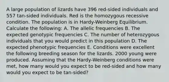 A large population of lizards have 396 red-sided individuals and 557 tan-sided individuals. Red is the homozygous recessive condition. The population is in Hardy-Weinberg Equilibrium. Calculate the following: A. The allelic frequencies B. The expected genotypic frequencies C. The number of heterozygous individuals that you would predict in this population D. The expected phenotypic frequencies E. Conditions were excellent the following breeding season for the lizards. 2000 young were produced. Assuming that the Hardy-Weinberg conditions were met, how many would you expect to be red-sided and how many would you expect to be tan-sided?