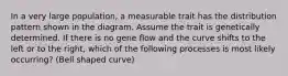 In a very large population, a measurable trait has the distribution pattern shown in the diagram. Assume the trait is genetically determined. If there is no gene flow and the curve shifts to the left or to the right, which of the following processes is most likely occurring? (Bell shaped curve)