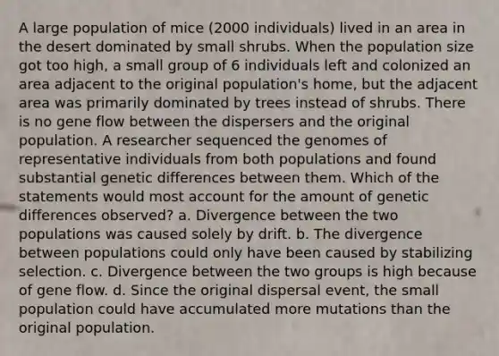 A large population of mice (2000 individuals) lived in an area in the desert dominated by small shrubs. When the population size got too high, a small group of 6 individuals left and colonized an area adjacent to the original population's home, but the adjacent area was primarily dominated by trees instead of shrubs. There is no gene flow between the dispersers and the original population. A researcher sequenced the genomes of representative individuals from both populations and found substantial genetic differences between them. Which of the statements would most account for the amount of genetic differences observed? a. Divergence between the two populations was caused solely by drift. b. The divergence between populations could only have been caused by stabilizing selection. c. Divergence between the two groups is high because of gene flow. d. Since the original dispersal event, the small population could have accumulated more mutations than the original population.