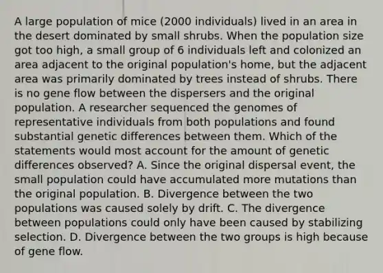 A large population of mice (2000 individuals) lived in an area in the desert dominated by small shrubs. When the population size got too high, a small group of 6 individuals left and colonized an area adjacent to the original population's home, but the adjacent area was primarily dominated by trees instead of shrubs. There is no gene flow between the dispersers and the original population. A researcher sequenced the genomes of representative individuals from both populations and found substantial genetic differences between them. Which of the statements would most account for the amount of genetic differences observed? A. Since the original dispersal event, the small population could have accumulated more mutations than the original population. B. Divergence between the two populations was caused solely by drift. C. The divergence between populations could only have been caused by stabilizing selection. D. Divergence between the two groups is high because of gene flow.