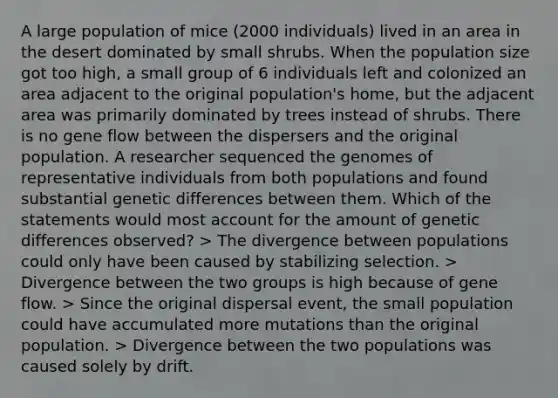 A large population of mice (2000 individuals) lived in an area in the desert dominated by small shrubs. When the population size got too high, a small group of 6 individuals left and colonized an area adjacent to the original population's home, but the adjacent area was primarily dominated by trees instead of shrubs. There is no gene flow between the dispersers and the original population. A researcher sequenced the genomes of representative individuals from both populations and found substantial genetic differences between them. Which of the statements would most account for the amount of genetic differences observed? > The divergence between populations could only have been caused by stabilizing selection. > Divergence between the two groups is high because of gene flow. > Since the original dispersal event, the small population could have accumulated more mutations than the original population. > Divergence between the two populations was caused solely by drift.