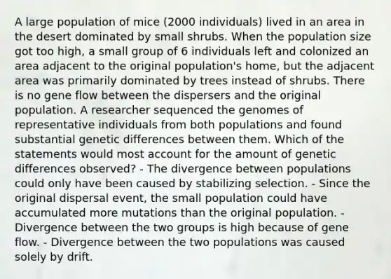 A large population of mice (2000 individuals) lived in an area in the desert dominated by small shrubs. When the population size got too high, a small group of 6 individuals left and colonized an area adjacent to the original population's home, but the adjacent area was primarily dominated by trees instead of shrubs. There is no gene flow between the dispersers and the original population. A researcher sequenced the genomes of representative individuals from both populations and found substantial genetic differences between them. Which of the statements would most account for the amount of genetic differences observed? - The divergence between populations could only have been caused by stabilizing selection. - Since the original dispersal event, the small population could have accumulated more mutations than the original population. - Divergence between the two groups is high because of gene flow. - Divergence between the two populations was caused solely by drift.