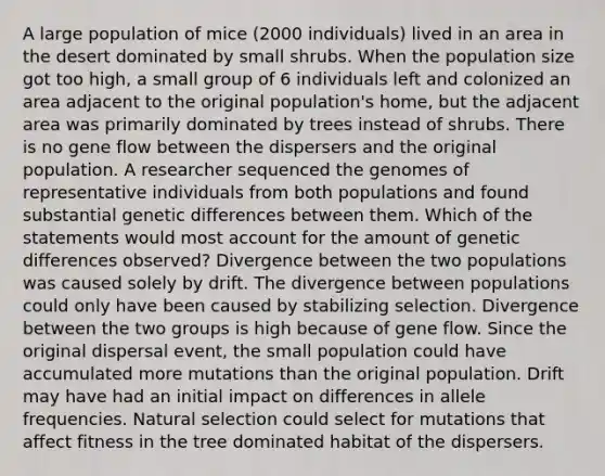 A large population of mice (2000 individuals) lived in an area in the desert dominated by small shrubs. When the population size got too high, a small group of 6 individuals left and colonized an area adjacent to the original population's home, but the adjacent area was primarily dominated by trees instead of shrubs. There is no gene flow between the dispersers and the original population. A researcher sequenced the genomes of representative individuals from both populations and found substantial genetic differences between them. Which of the statements would most account for the amount of genetic differences observed? Divergence between the two populations was caused solely by drift. The divergence between populations could only have been caused by stabilizing selection. Divergence between the two groups is high because of gene flow. Since the original dispersal event, the small population could have accumulated more mutations than the original population. Drift may have had an initial impact on differences in allele frequencies. Natural selection could select for mutations that affect fitness in the tree dominated habitat of the dispersers.