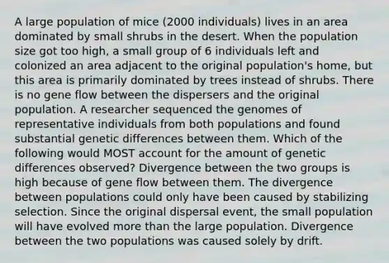 A large population of mice (2000 individuals) lives in an area dominated by small shrubs in the desert. When the population size got too high, a small group of 6 individuals left and colonized an area adjacent to the original population's home, but this area is primarily dominated by trees instead of shrubs. There is no gene flow between the dispersers and the original population. A researcher sequenced the genomes of representative individuals from both populations and found substantial genetic differences between them. Which of the following would MOST account for the amount of genetic differences observed? Divergence between the two groups is high because of gene flow between them. The divergence between populations could only have been caused by stabilizing selection. Since the original dispersal event, the small population will have evolved more than the large population. Divergence between the two populations was caused solely by drift.