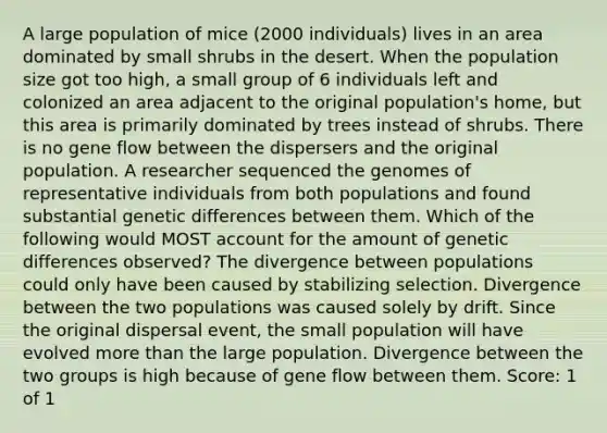 A large population of mice (2000 individuals) lives in an area dominated by small shrubs in the desert. When the population size got too high, a small group of 6 individuals left and colonized an area adjacent to the original population's home, but this area is primarily dominated by trees instead of shrubs. There is no gene flow between the dispersers and the original population. A researcher sequenced the genomes of representative individuals from both populations and found substantial genetic differences between them. Which of the following would MOST account for the amount of genetic differences observed? The divergence between populations could only have been caused by stabilizing selection. Divergence between the two populations was caused solely by drift. Since the original dispersal event, the small population will have evolved <a href='https://www.questionai.com/knowledge/keWHlEPx42-more-than' class='anchor-knowledge'>more than</a> the large population. Divergence between the two groups is high because of gene flow between them. Score: 1 of 1