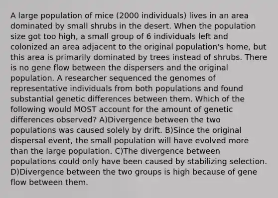 A large population of mice (2000 individuals) lives in an area dominated by small shrubs in the desert. When the population size got too high, a small group of 6 individuals left and colonized an area adjacent to the original population's home, but this area is primarily dominated by trees instead of shrubs. There is no gene flow between the dispersers and the original population. A researcher sequenced the genomes of representative individuals from both populations and found substantial genetic differences between them. Which of the following would MOST account for the amount of genetic differences observed? A)Divergence between the two populations was caused solely by drift. B)Since the original dispersal event, the small population will have evolved <a href='https://www.questionai.com/knowledge/keWHlEPx42-more-than' class='anchor-knowledge'>more than</a> the large population. C)The divergence between populations could only have been caused by stabilizing selection. D)Divergence between the two groups is high because of gene flow between them.