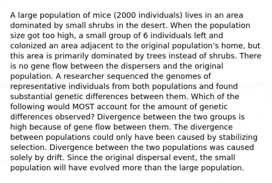 A large population of mice (2000 individuals) lives in an area dominated by small shrubs in the desert. When the population size got too high, a small group of 6 individuals left and colonized an area adjacent to the original population's home, but this area is primarily dominated by trees instead of shrubs. There is no gene flow between the dispersers and the original population. A researcher sequenced the genomes of representative individuals from both populations and found substantial genetic differences between them. Which of the following would MOST account for the amount of genetic differences observed? Divergence between the two groups is high because of gene flow between them. The divergence between populations could only have been caused by stabilizing selection. Divergence between the two populations was caused solely by drift. Since the original dispersal event, the small population will have evolved <a href='https://www.questionai.com/knowledge/keWHlEPx42-more-than' class='anchor-knowledge'>more than</a> the large population.