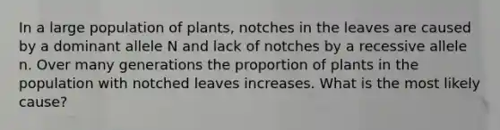 In a large population of plants, notches in the leaves are caused by a dominant allele N and lack of notches by a recessive allele n. Over many generations the proportion of plants in the population with notched leaves increases. What is the most likely cause?