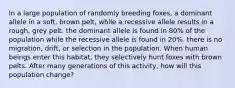 In a large population of randomly breeding foxes, a dominant allele in a soft, brown pelt, while a recessive allele results in a rough, grey pelt. the dominant allele is found in 80% of the population while the recessive allele is found in 20%. there is no migration, drift, or selection in the population. When human beings enter this habitat, they selectively hunt foxes with brown pelts. After many generations of this activity, how will this population change?