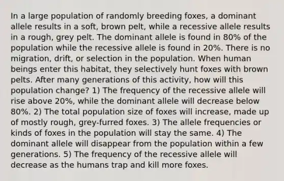 In a large population of randomly breeding foxes, a dominant allele results in a soft, brown pelt, while a recessive allele results in a rough, grey pelt. The dominant allele is found in 80% of the population while the recessive allele is found in 20%. There is no migration, drift, or selection in the population. When human beings enter this habitat, they selectively hunt foxes with brown pelts. After many generations of this activity, how will this population change? 1) The frequency of the recessive allele will rise above 20%, while the dominant allele will decrease below 80%. 2) The total population size of foxes will increase, made up of mostly rough, grey-furred foxes. 3) The allele frequencies or kinds of foxes in the population will stay the same. 4) The dominant allele will disappear from the population within a few generations. 5) The frequency of the recessive allele will decrease as the humans trap and kill more foxes.