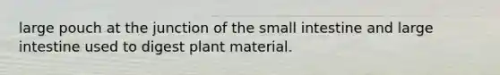 large pouch at the junction of the small intestine and large intestine used to digest plant material.