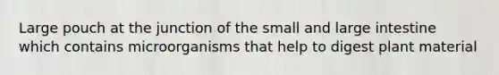 Large pouch at the junction of the small and large intestine which contains microorganisms that help to digest plant material