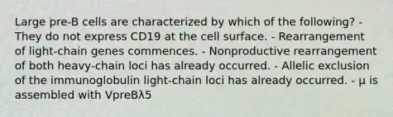 Large pre-B cells are characterized by which of the following? - They do not express CD19 at the cell surface. - Rearrangement of light-chain genes commences. - Nonproductive rearrangement of both heavy-chain loci has already occurred. - Allelic exclusion of the immunoglobulin light-chain loci has already occurred. - μ is assembled with VpreBλ5