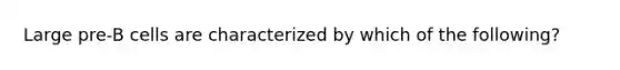 Large pre-B cells are characterized by which of the following?
