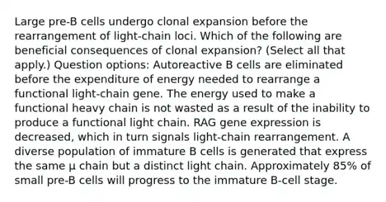 Large pre-B cells undergo clonal expansion before the rearrangement of light-chain loci. Which of the following are beneficial consequences of clonal expansion? (Select all that apply.) Question options: Autoreactive B cells are eliminated before the expenditure of energy needed to rearrange a functional light-chain gene. The energy used to make a functional heavy chain is not wasted as a result of the inability to produce a functional light chain. RAG gene expression is decreased, which in turn signals light-chain rearrangement. A diverse population of immature B cells is generated that express the same μ chain but a distinct light chain. Approximately 85% of small pre-B cells will progress to the immature B-cell stage.