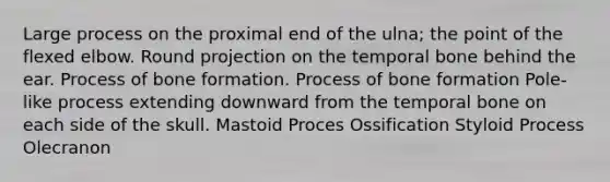 Large process on the proximal end of the ulna; the point of the flexed elbow. Round projection on the temporal bone behind the ear. Process of bone formation. Process of bone formation Pole-like process extending downward from the temporal bone on each side of the skull. Mastoid Proces Ossification Styloid Process Olecranon