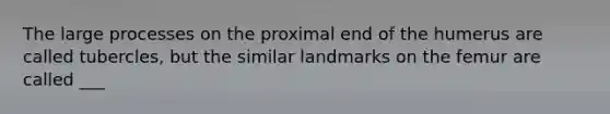 The large processes on the proximal end of the humerus are called tubercles, but the similar landmarks on the femur are called ___