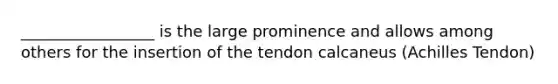 _________________ is the large prominence and allows among others for the insertion of the tendon calcaneus (Achilles Tendon)