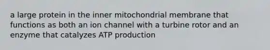 a large protein in the inner mitochondrial membrane that functions as both an ion channel with a turbine rotor and an enzyme that catalyzes ATP production