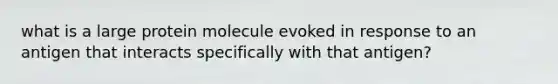 what is a large protein molecule evoked in response to an antigen that interacts specifically with that antigen?