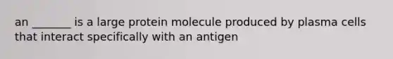 an _______ is a large protein molecule produced by plasma cells that interact specifically with an antigen