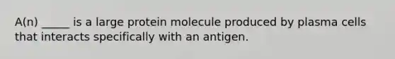 A(n) _____ is a large protein molecule produced by plasma cells that interacts specifically with an antigen.