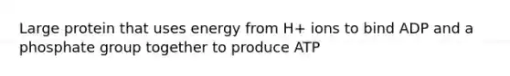 Large protein that uses energy from H+ ions to bind ADP and a phosphate group together to produce ATP