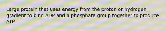 Large protein that uses energy from the proton or hydrogen gradient to bind ADP and a phosphate group together to produce ATP