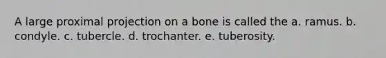 A large proximal projection on a bone is called the a. ramus. b. condyle. c. tubercle. d. trochanter. e. tuberosity.