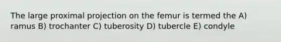 The large proximal projection on the femur is termed the A) ramus B) trochanter C) tuberosity D) tubercle E) condyle