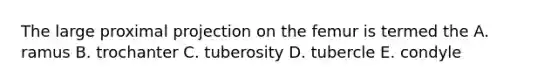The large proximal projection on the femur is termed the A. ramus B. trochanter C. tuberosity D. tubercle E. condyle