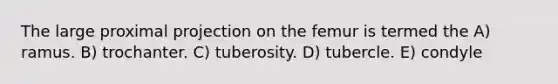 The large proximal projection on the femur is termed the A) ramus. B) trochanter. C) tuberosity. D) tubercle. E) condyle
