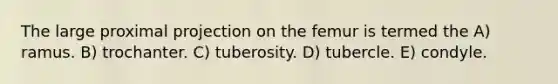 The large proximal projection on the femur is termed the A) ramus. B) trochanter. C) tuberosity. D) tubercle. E) condyle.