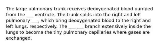 The large pulmonary trunk receives deoxygenated blood pumped from the ___ ventricle. The trunk splits into the right and left pulmonary ___, which bring deoxygenated blood to the right and left lungs, respectively. The ___ ___ branch extensively inside the lungs to become the tiny pulmonary capillaries where gases are exchanged.